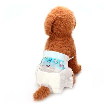 Pet Diapers Converting Machine